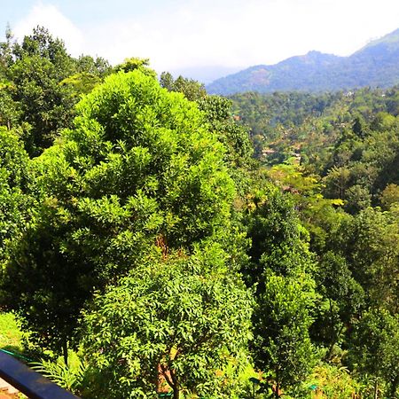 Green Magic Riverside Resort Муннар Экстерьер фото
